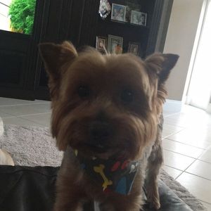 Meet your Posher, Deena